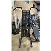 Image 1 : STAIRMASTER GRAVITRON 2000 COMMERCIAL WEIGHT ASSISTED CHIN DIP MACHINE