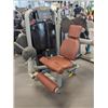 Image 1 : TECHNOGYM GREY COMMERCIAL SEATED LEG EXTENSION MACHINE