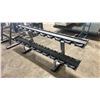 Image 2 : LIFE FITNESS SDR2-0102-101 SIGNATURE SERIES 2 TIER COMMERCIAL DUMBBELL RACK
