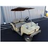 Image 2 : Tyler Dunn Golf Cart Non Runner