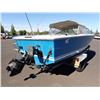 Image 3 : 1975 Sea Ray