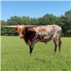 Image 1 : GF Native Texan