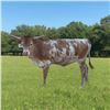 Image 1 : SLL RENEGADE QUEEN