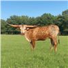 Image 1 : GF Sweet Pickens