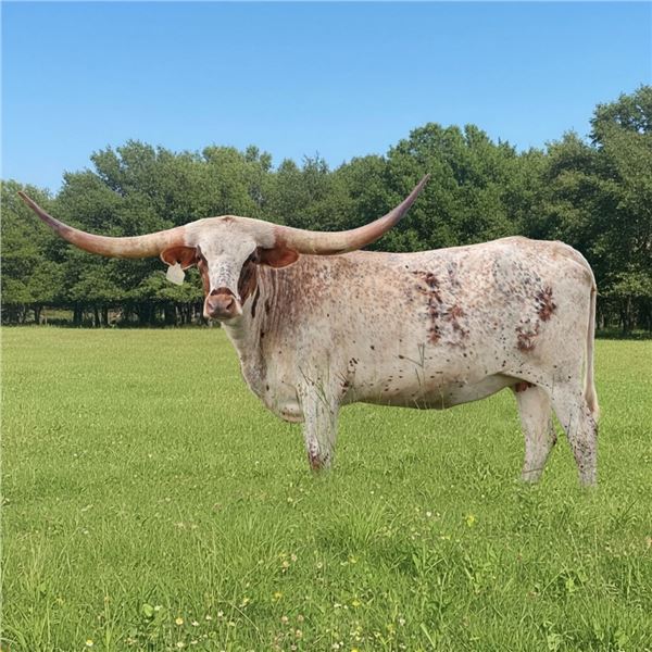 Rustic Cowgirl