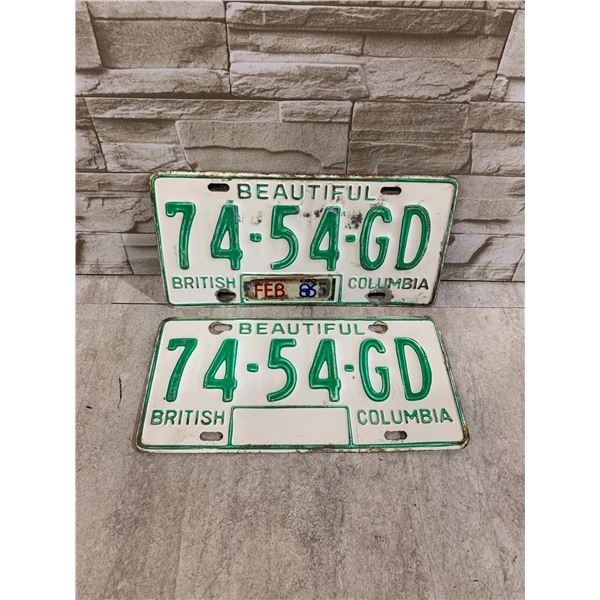 Lot Of 2 British Columbia License Plates