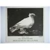 Image 2 : PABLO PICASSO Photo Litho 1969 Dove Spanish