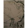 Image 5 : VICTOR TISCHLER Signed Etching German