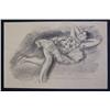 Image 2 : HENRI MATISSE Rare Hand Signed Lithograph 1925