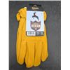 Image 2 : Watson Deerskin Leather Gloves XL/1TG Lined