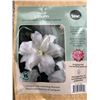 Image 3 : Tasc Lilium Lotus Ice Bulbs, 15 Pack