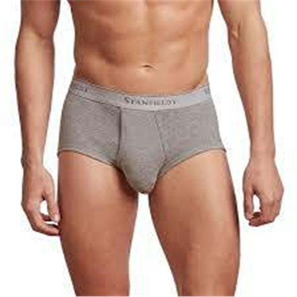 Stanfield's 6 Classic Briefs XL 100% Cotton