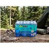 Image 1 : Kirkland Ionized Alkaline Water 18x1L Bottles