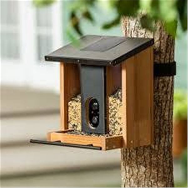 Evergreen Solar Camera Bird Feeder