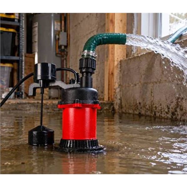 Red Lion RL25U Cast Aluminum 1/3 HP Pump