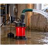 Image 1 : Red Lion RL25U Cast Aluminum 1/3 HP Pump