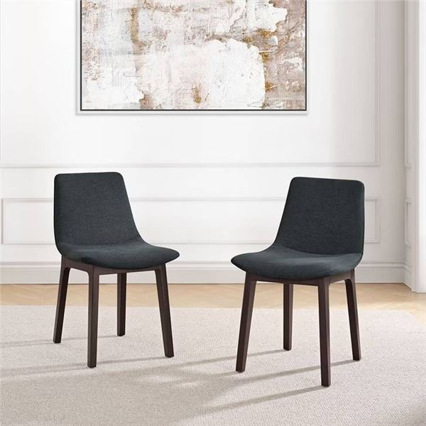Aiden & Ivy 2-Pack Fabric Dining Chairs