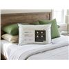 Image 1 : Ariza Sleep Bamboo Comfort Queen Pillow 20x30