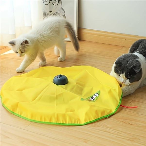AOLIKES Durable Interactive Cat Toy With Remote