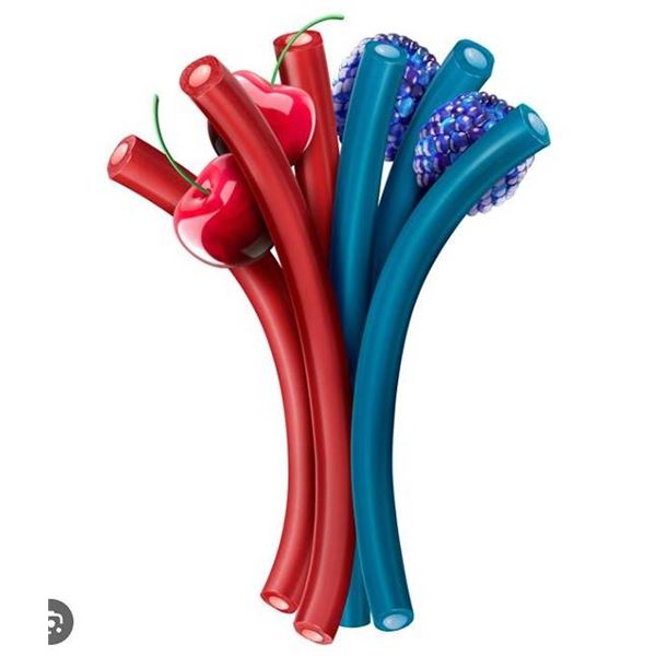 Jolly Rancher Ropes Candy 283g x 9 Blue Raspberry