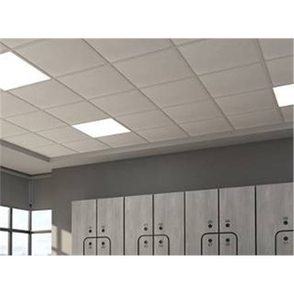 USG Ceilings OLY FRP 24"x24" Ceiling Tiles