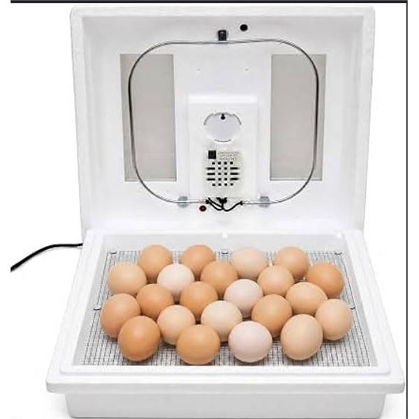 Circulated Air Incubator With Fan Kit, 120V