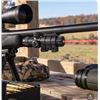 Image 1 : Pinty Laser Sight With Mount, Switch