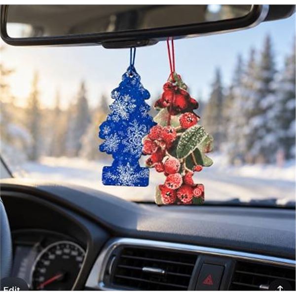 Little Trees Air Fresheners, 6 Packs (2 Scents)