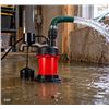 Image 1 : Red Lion RL-SP50V 1/2 HP Sump Pump, Thermoplastic