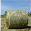 Image 1 : Netex S2S Polyethylene UV Protection Cover Rolls