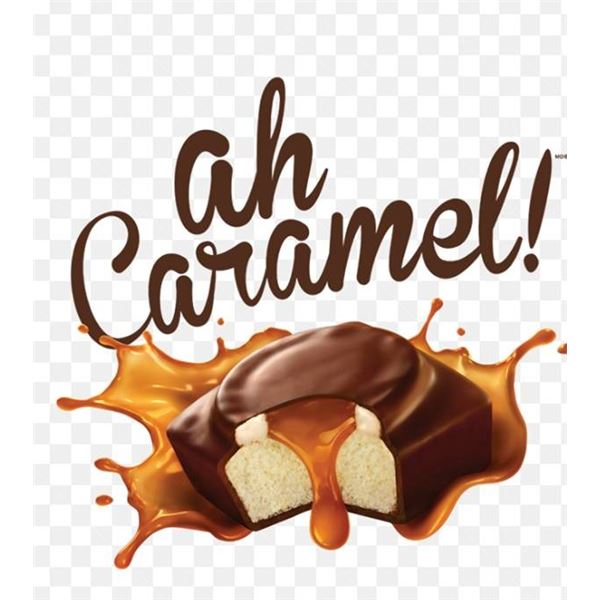 Vachon Ah Caramel Macchiato Cakes 2x12ct Boxes
