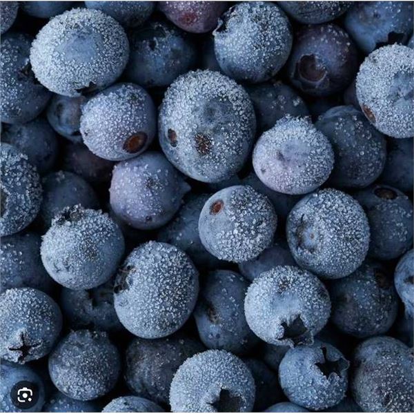 A&P Frozen Blueberries 30 lb Box