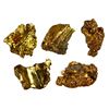 Image 1 : Lot of five gold bits, from 0.03 to 0.20 gram each (total 0.36 gram), 16K to 18K fine, ex-"Dry Tortu