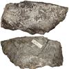Image 1 : Half-cut silver "splash" ingot, 21.2 oz troy (658 grams), with markings of fineness and foundry/assa