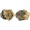 Image 1 : MEXICO, Mexico City, clump of one cob 8 reales in small chunk of coral, Philip IV, assayer P.