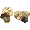 Image 1 : MEXICO, Mexico City, clump of one cob 8 reales "biscuit" in chunk of coral, Philip IV, assayer not v