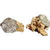 Image 1 : MEXICO, Mexico City, clump of one cob 4 reales in chunk of coral, Philip IV, assayer not visible.