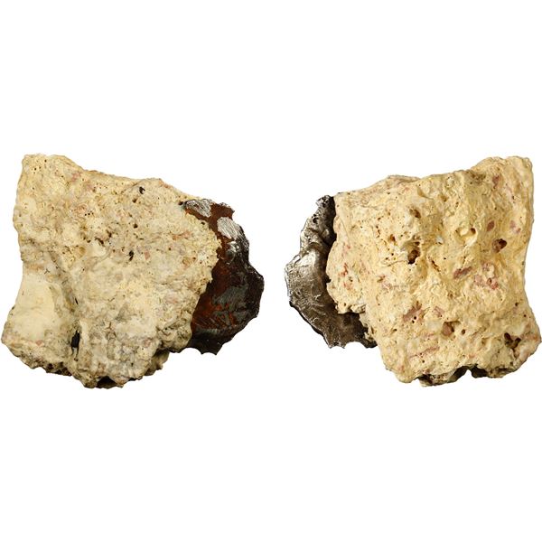MEXICO, Mexico City, clump of one cob 4 reales embedded in chunk of coral, Philip IV, assayer not vi