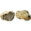 Image 1 : MEXICO, Mexico City, clump of one cob 4 reales and chunk of coral, Philip IV, assayer not visible.