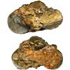 Image 1 : NETHERLANDS, mints uncertain, large clump containing three ducatoons (one Spanish Netherlands, the o