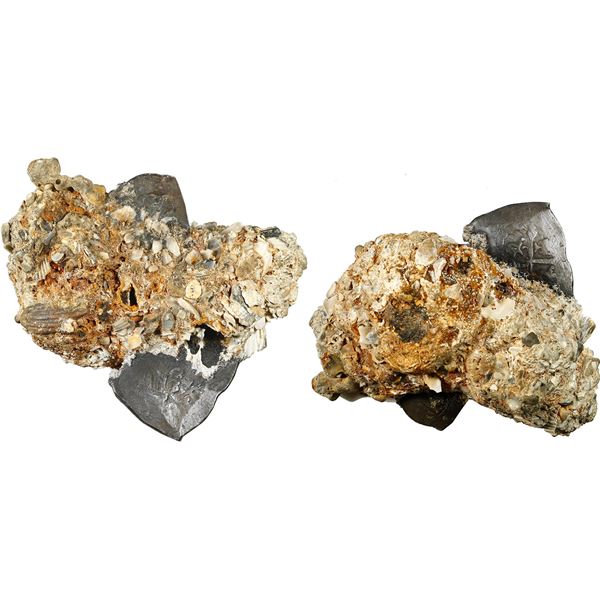 MEXICO, Mexico City, clump of two cob 8 reales in chunk of encrustation, Philip V, assayers not visi