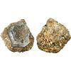 Image 1 : MEXICO, Mexico City, clump of one cob 8 reales in chunk of coral, assayer not visible (J), style of 