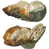 Image 1 : NETHERLANDS (United), Zeeland, clump of about ten copper duits, 1752, encrusted as found.