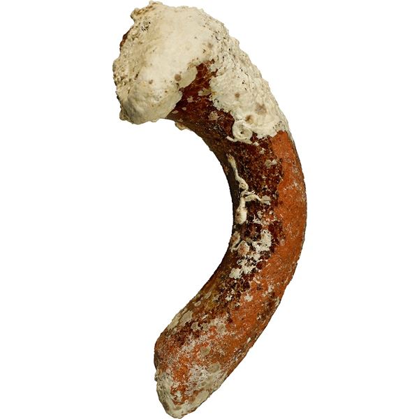 Small clay handle, ex-Santa Margarita (1622).