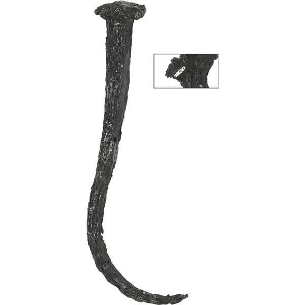 Iron spike (intact, conserved), ex-Santa Margarita (1622).