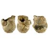 Image 1 : Small Delftware pitcher (handle missing), encrusted as found, ex-pirate ship Golden Fleece (1686).