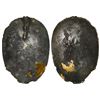 Image 1 : Gold-plated silver spoon (encrusted, handle missing), ex-1715 Fleet, ex-Morse.