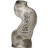 Image 1 : MEXICO, Mexico City, cob 8 reales, Charles II, assayer not visible, curvy, elongated shape.
