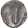Image 2 : ANCIENT GREEK, Lucania, Metapontum, AR nomos, 334-330 BC.
