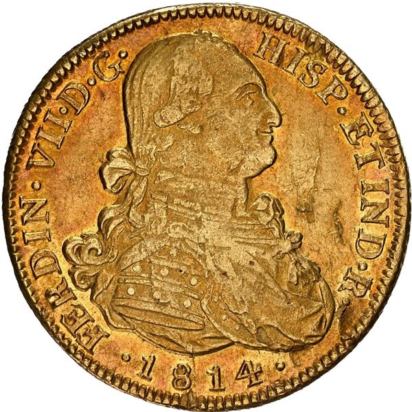 CHILE, Santiago, gold bust 8 escudos, Ferdinand VII (bust of Charles IV), 1814 FJ, NGC AU details / 